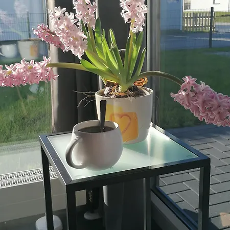 Nordwind G3 Premium Grosswurden