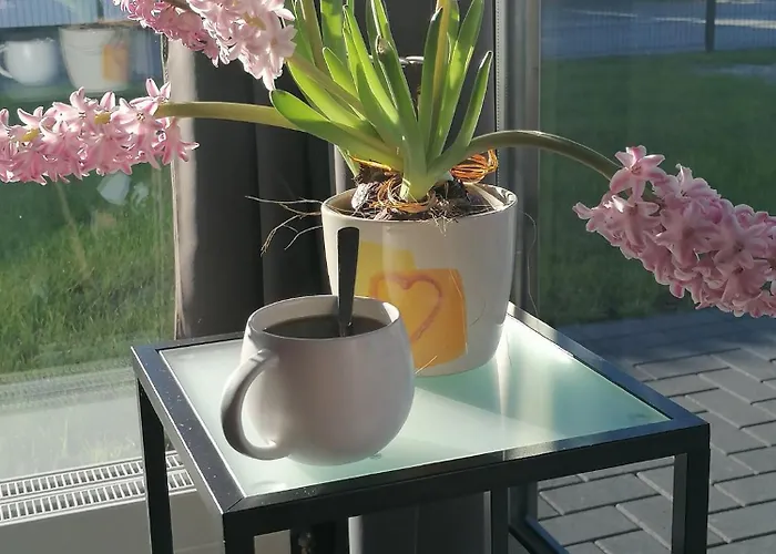 Nordwind G3 Premium Großwürden